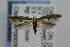  ( - CNCLEP00035940)  @14 [ ] CreativeCommons - Attribution Non-Commercial Share-Alike (2007) Unspecified Canadian National Collection