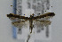  ( - CNCLEP00035982)  @12 [ ] CreativeCommons - Attribution Non-Commercial Share-Alike (2007) Unspecified Canadian National Collection