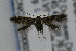  ( - CNCLEP00035985)  @13 [ ] CreativeCommons - Attribution Non-Commercial Share-Alike (2007) Unspecified Canadian National Collection