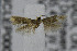  ( - CNCLEP00035996)  @12 [ ] CreativeCommons - Attribution Non-Commercial Share-Alike (2007) Unspecified Canadian National Collection