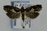  ( - CNCLEP00035998)  @13 [ ] CreativeCommons - Attribution Non-Commercial Share-Alike (2007) Unspecified Canadian National Collection