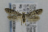  ( - CNCLEP00038411)  @14 [ ] CreativeCommons - Attribution Non-Commercial Share-Alike (2007) Unspecified Canadian National Collection
