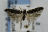  ( - CNCLEP00056204)  @13 [ ] CreativeCommons - Attribution Non-Commercial Share-Alike (2007) Unspecified Canadian National Collection