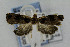  ( - CNCLEP00056208)  @12 [ ] CreativeCommons - Attribution Non-Commercial Share-Alike (2007) Unspecified Canadian National Collection