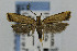 ( - CNCLEP00056797)  @11 [ ] CreativeCommons - Attribution Non-Commercial Share-Alike (2007) Unspecified Canadian National Collection