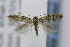  ( - CNCLEP00077858)  @12 [ ] CreativeCommons - Attribution Non-Commercial Share-Alike (2007) Unspecified Canadian National Collection