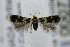  ( - CNCLEP00077872)  @13 [ ] CreativeCommons - Attribution Non-Commercial Share-Alike (2007) Unspecified Canadian National Collection
