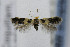  ( - CNCLEP00077873)  @13 [ ] CreativeCommons - Attribution Non-Commercial Share-Alike (2007) Unspecified Canadian National Collection