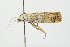 ( - CNCLEP00077882)  @12 [ ] CreativeCommons - Attribution Non-Commercial Share-Alike (2007) Unspecified Canadian National Collection