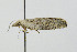  ( - CNCLEP00077911)  @13 [ ] CreativeCommons - Attribution Non-Commercial Share-Alike (2007) Unspecified Canadian National Collection