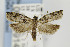  ( - CNCLEP00077914)  @13 [ ] CreativeCommons - Attribution Non-Commercial Share-Alike (2007) Unspecified Canadian National Collection