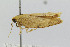  ( - CNCLEP00077916)  @12 [ ] CreativeCommons - Attribution Non-Commercial Share-Alike (2007) Unspecified Canadian National Collection