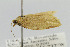  ( - CNCLEP00077919)  @12 [ ] CreativeCommons - Attribution Non-Commercial Share-Alike (2007) Unspecified Canadian National Collection