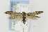  ( - CNCLEP00077947)  @14 [ ] CreativeCommons - Attribution Non-Commercial Share-Alike (2007) Unspecified Canadian National Collection