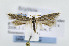  ( - JD5350)  @14 [ ] Copyright (2007) Unspecified Canadian National Collection