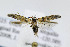  ( - JD5525)  @14 [ ] Copyright (2007) Unspecified Canadian National Collection