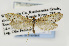  ( - USNMENT00656821)  @11 [ ] Copyright (2011) Jean-Francois Landry Canadian National Collection