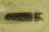  ( - CNCLEP00059230)  @12 [ ] CreativeCommons - Attribution Non-Commercial Share-Alike (2014) Jean-Francois Landry Canadian National Collection