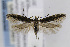  ( - CNCLEP00077087)  @12 [ ] CreativeCommons - Attribution Non-Commercial Share-Alike (2013) Jean-Francois Landry Canadian National Collection