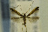  ( - CNCLEP00077566)  @12 [ ] CreativeCommons - Attribution Non-Commercial Share-Alike (2014) Jean-Francois Landry Canadian National Collection
