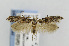  ( - CNCLEP00091896)  @11 [ ] CreativeCommons - Attribution Non-Commercial Share-Alike (2013) Jean-Francois Landry Canadian National Collection