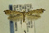  ( - CNCLEP00096978)  @14 [ ] CreativeCommons - Attribution Non-Commercial Share-Alike (2014) Jean-Francois Landry Canadian National Collection