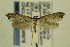  ( - CNCLEP00096979)  @14 [ ] CreativeCommons - Attribution Non-Commercial Share-Alike (2014) Jean-Francois Landry Canadian National Collection