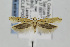  ( - CNCLEP00097063)  @14 [ ] CreativeCommons - Attribution Non-Commercial Share-Alike (2013) Jean-Francois Landry Canadian National Collection