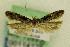  ( - CNCLEP00114175)  @11 [ ] CreativeCommons - Attribution Non-Commercial Share-Alike (2014) Jean-Francois Landry Canadian National Collection
