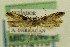  ( - CNCLEP00114176)  @11 [ ] CreativeCommons - Attribution Non-Commercial Share-Alike (2014) Jean-Francois Landry Canadian National Collection