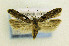  ( - CNCLEP00114178)  @11 [ ] CreativeCommons - Attribution Non-Commercial Share-Alike (2014) Jean-Francois Landry Canadian National Collection