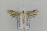  ( - CNCLEP00035979)  @13 [ ] CreativeCommons - Attribution Non-Commercial Share-Alike (2013) Jean-Francois Landry Canadian National Collection