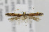  ( - CNCLEP00056109.1)  @11 [ ] CreativeCommons - Attribution Non-Commercial Share-Alike (2013) Jean-Francois Landry Canadian National Collection