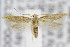  ( - CNCLEP00078142)  @14 [ ] CreativeCommons - Attribution Non-Commercial Share-Alike (2013) Jean-Francois Landry Canadian National Collection