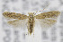  ( - CNCLEP00078296)  @14 [ ] CreativeCommons - Attribution Non-Commercial Share-Alike (2013) Jean-Francois Landry Canadian National Collection