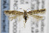  ( - CNCLEP00082284)  @11 [ ] CreativeCommons - Attribution Non-Commercial Share-Alike (2013) Jean-Francois Landry Canadian National Collection