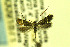  ( - CNCLEP00091871)  @13 [ ] CreativeCommons - Attribution Non-Commercial Share-Alike (2012) Jean-Francois Landry Canadian National Collection