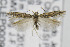  ( - CNCLEP00096842)  @11 [ ] CreativeCommons - Attribution Non-Commercial Share-Alike (2013) Jean-Francois Landry Canadian National Collection