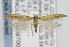  ( - CNCLEP00097004)  @14 [ ] CreativeCommons - Attribution Non-Commercial Share-Alike (2013) Jean-Francois Landry Canadian National Collection