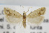  ( - CNCLEP00098053.1)  @11 [ ] CreativeCommons - Attribution Non-Commercial Share-Alike (2013) Jean-Francois Landry Canadian National Collection