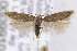  ( - CNCLEP00099101)  @13 [ ] CreativeCommons - Attribution Non-Commercial Share-Alike (2013) Jean-Francois Landry Canadian National Collection