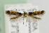  ( - CNCLEP00099266)  @13 [ ] CreativeCommons - Attribution Non-Commercial Share-Alike (2013) Jean-Francois Landry Canadian National Collection