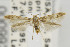  ( - CNCLEP00099280)  @15 [ ] CreativeCommons - Attribution Non-Commercial Share-Alike (2013) Jean-Francois Landry Canadian National Collection