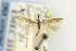  ( - EMEC331049)  @11 [ ] Copyright (2012) Unspecified Essig Museum of Entomology