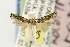  ( - EMEC82314)  @13 [ ] Copyright (2012) Unspecified Essig Museum of Entomology
