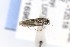 ( - CNCLEP00116961)  @11 [ ] CreativeCommons - Attribution Non-Commercial Share-Alike (2015) Jean-Francois Landry Canadian National Collection of Insects, Arachnids and Nematodes