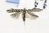  (Scrobipalpula manierreorum - CNCLEP00119462)  @14 [ ] CreativeCommons - Attribution Non-Commercial Share-Alike (2015) Jean-Francois Landry Canadian National Collection of Insects, Arachnids and Nematodes