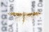  ( - CNCLEP00121838)  @14 [ ] CreativeCommons - Attribution Non-Commercial Share-Alike (2015) Jean-Francois Landry Canadian National Collection of Insects, Arachnids and Nematodes