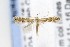  ( - CNCLEP00121839)  @14 [ ] CreativeCommons - Attribution Non-Commercial Share-Alike (2015) Jean-Francois Landry Canadian National Collection of Insects, Arachnids and Nematodes