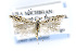  ( - CNCLEP00132775)  @14 [ ] CreativeCommons - Attribution Non-Commercial Share-Alike (2016) Jean-Francois Landry Canadian National Collection of Insects